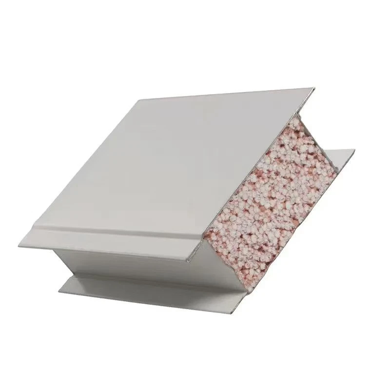 Panneau sandwich pour salle blanche